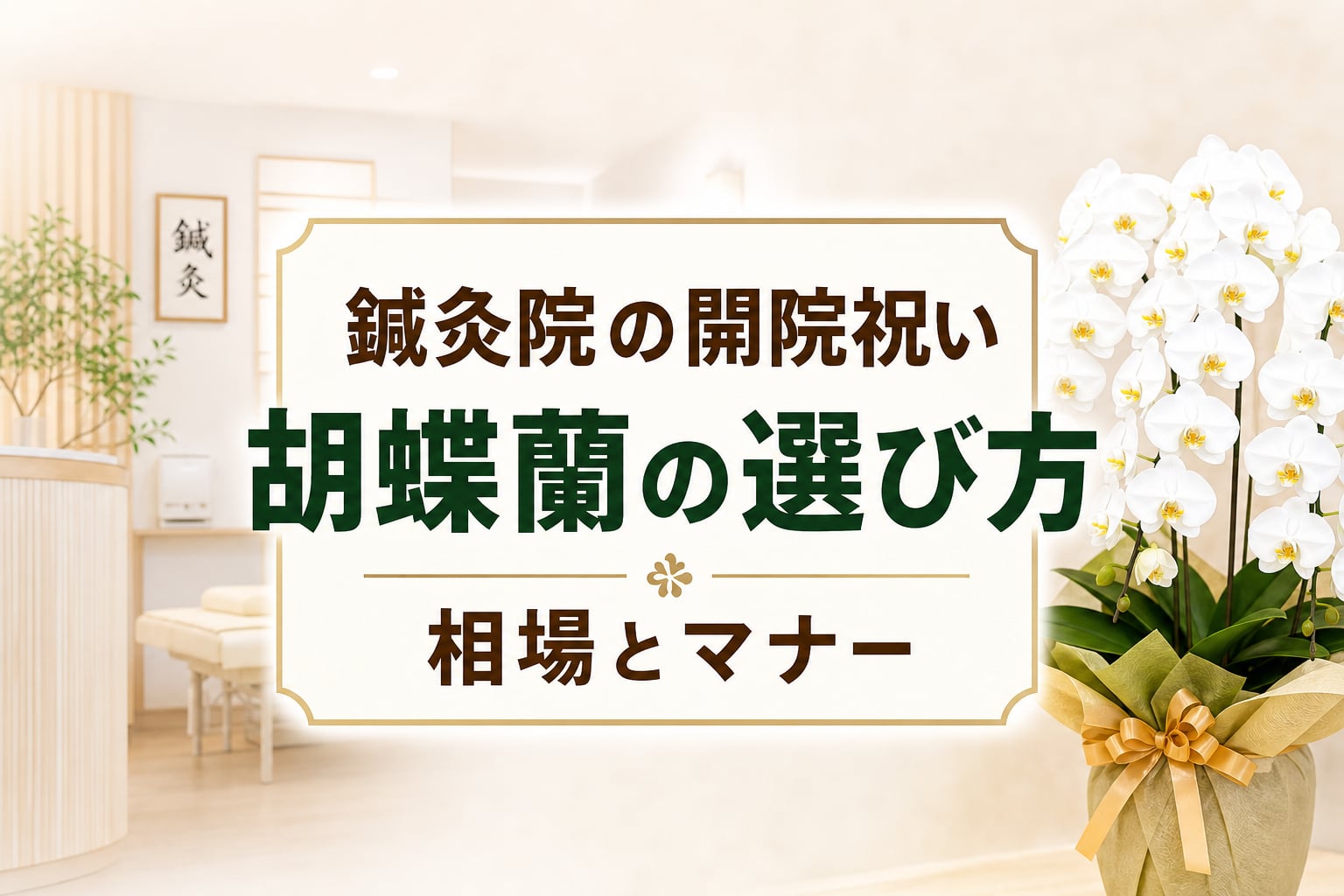 鍼灸院の開院祝いに胡蝶蘭！相場・マナーと邪魔にならない選び方