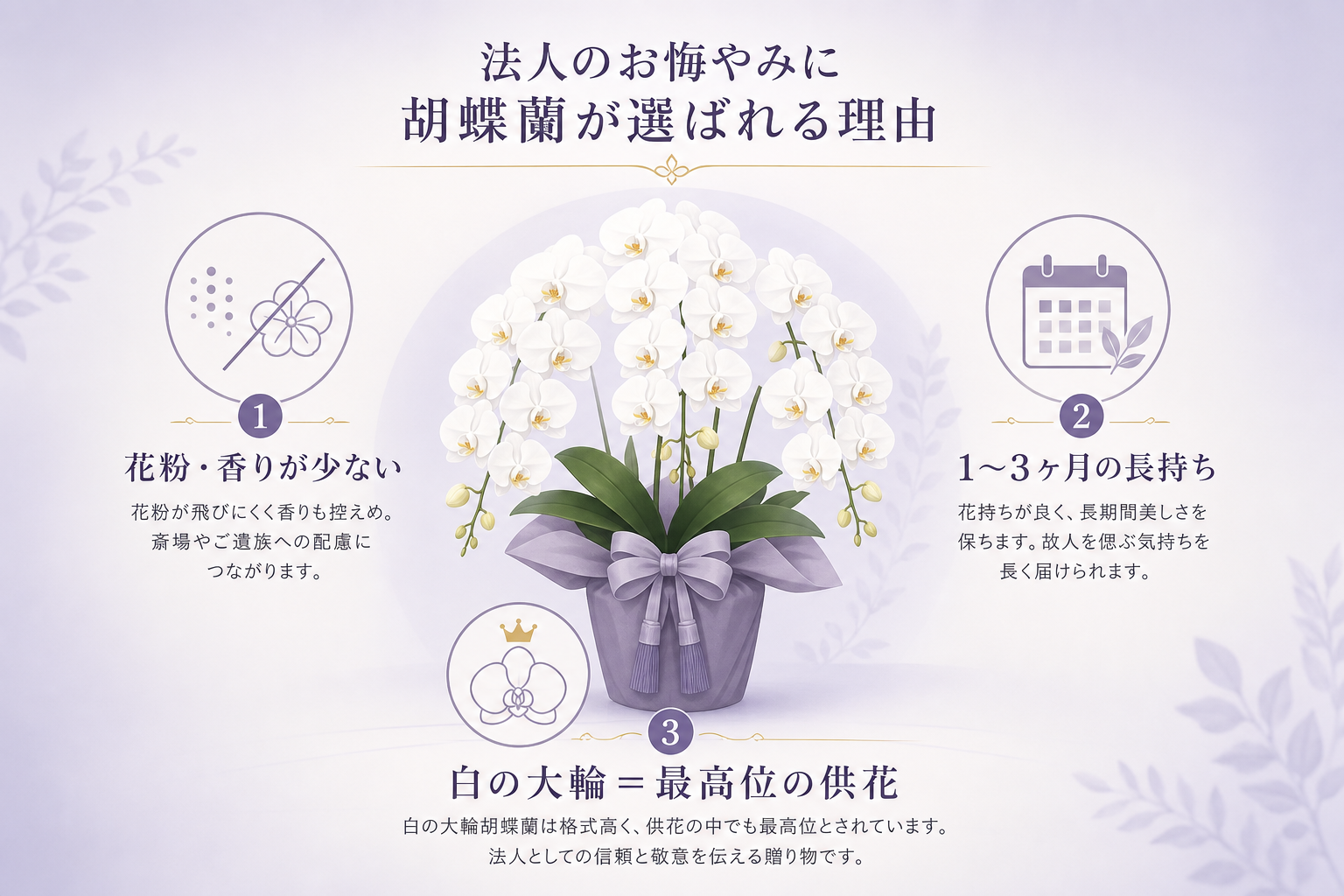 なぜ法人のお悔やみにお祝いで馴染みのある胡蝶蘭が選ばれるのか？