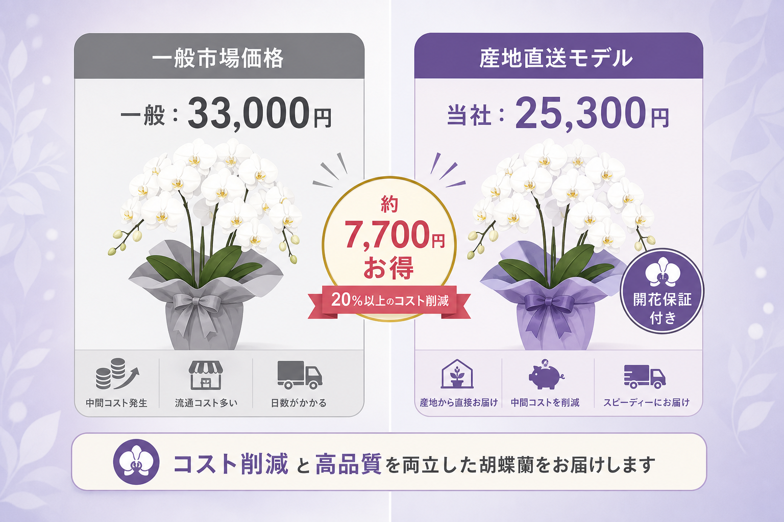 20％以上のコスト削減と高品質を両立させて胡蝶蘭を贈る方法とは？