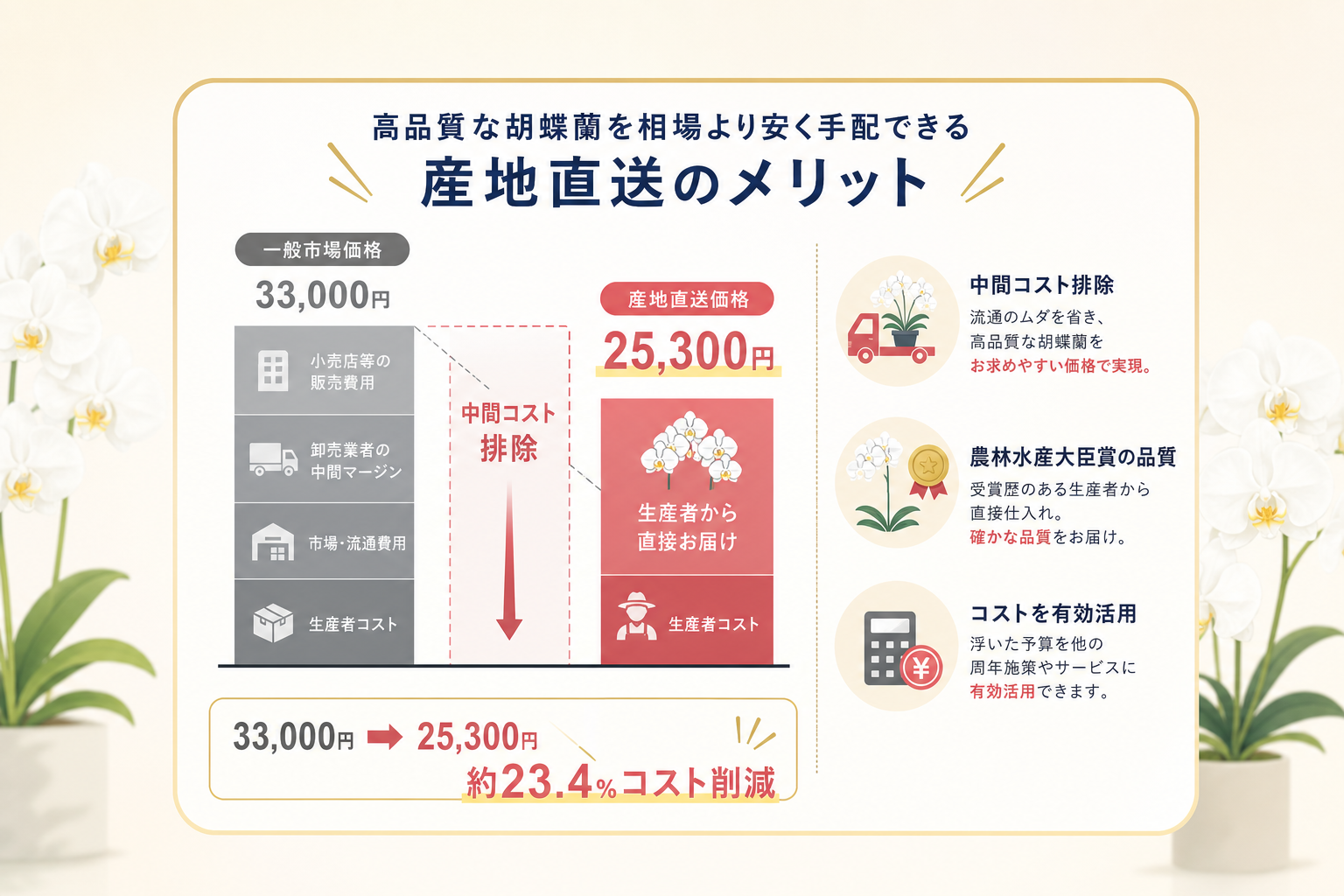 高品質な胡蝶蘭を相場より安く手配できる「産地直送」にはどのようなメリットがあるのか？