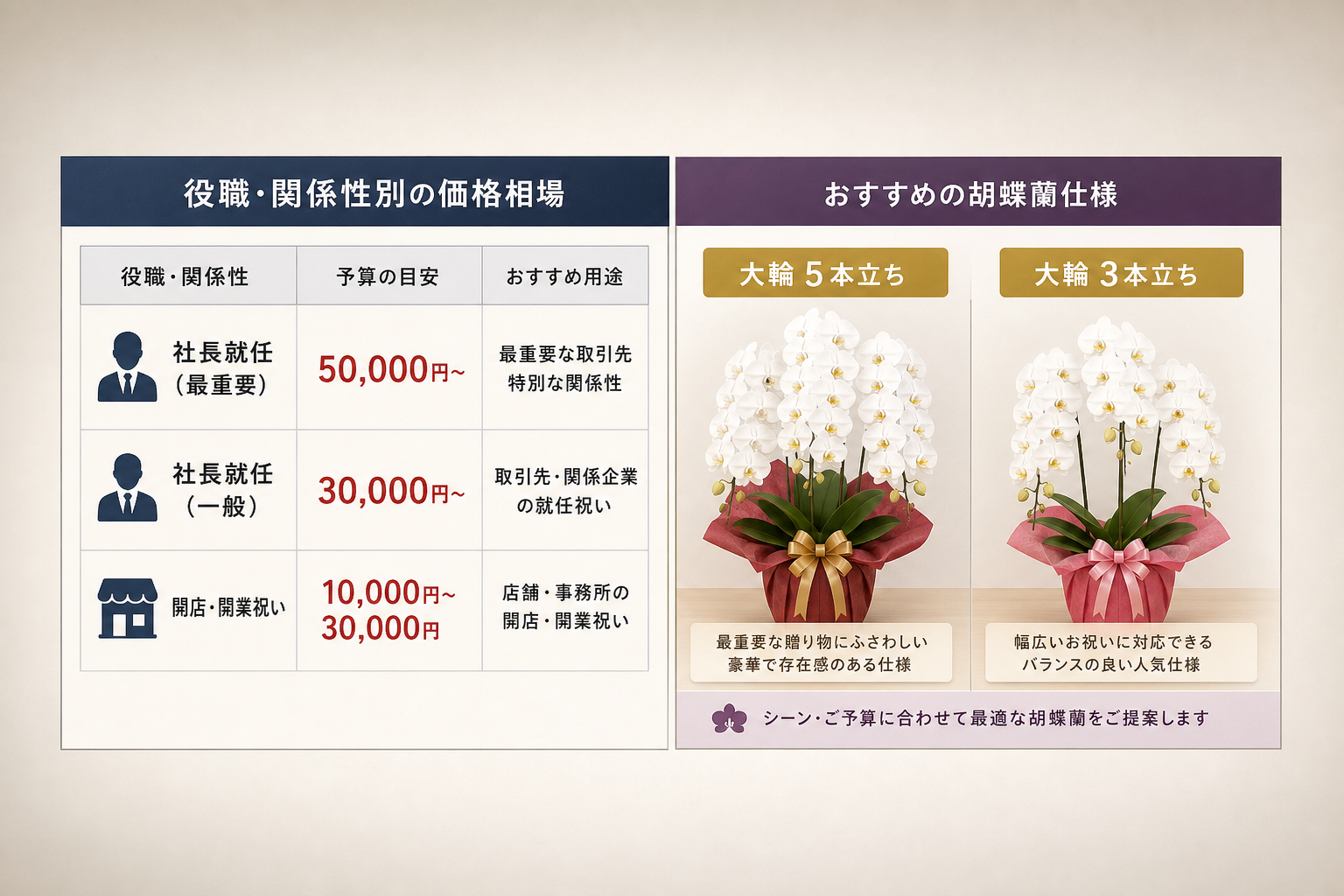 法人向け胡蝶蘭の価格相場は相手の役職や関係性でどう変わるのか？