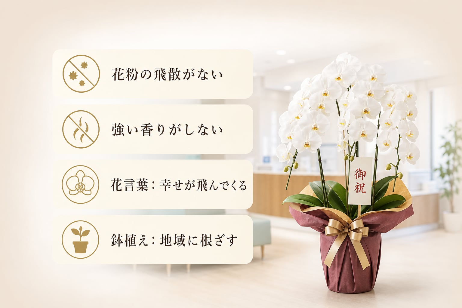 病院の開院祝いに胡蝶蘭が選ばれる理由とは？
