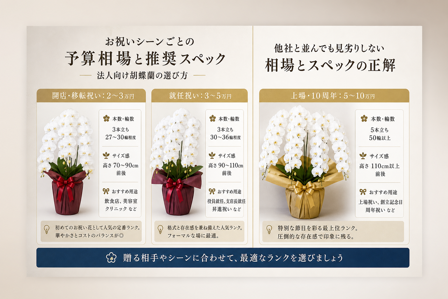 他社と並んでも見劣りしない胡蝶蘭の相場とスペックの正解は？
