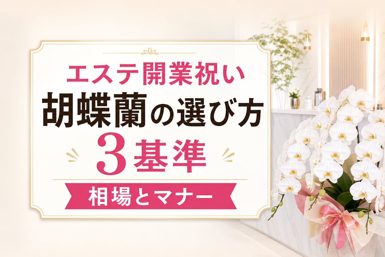 エステサロン開業祝いの胡蝶蘭選び｜相場と広さに合う3つの基準