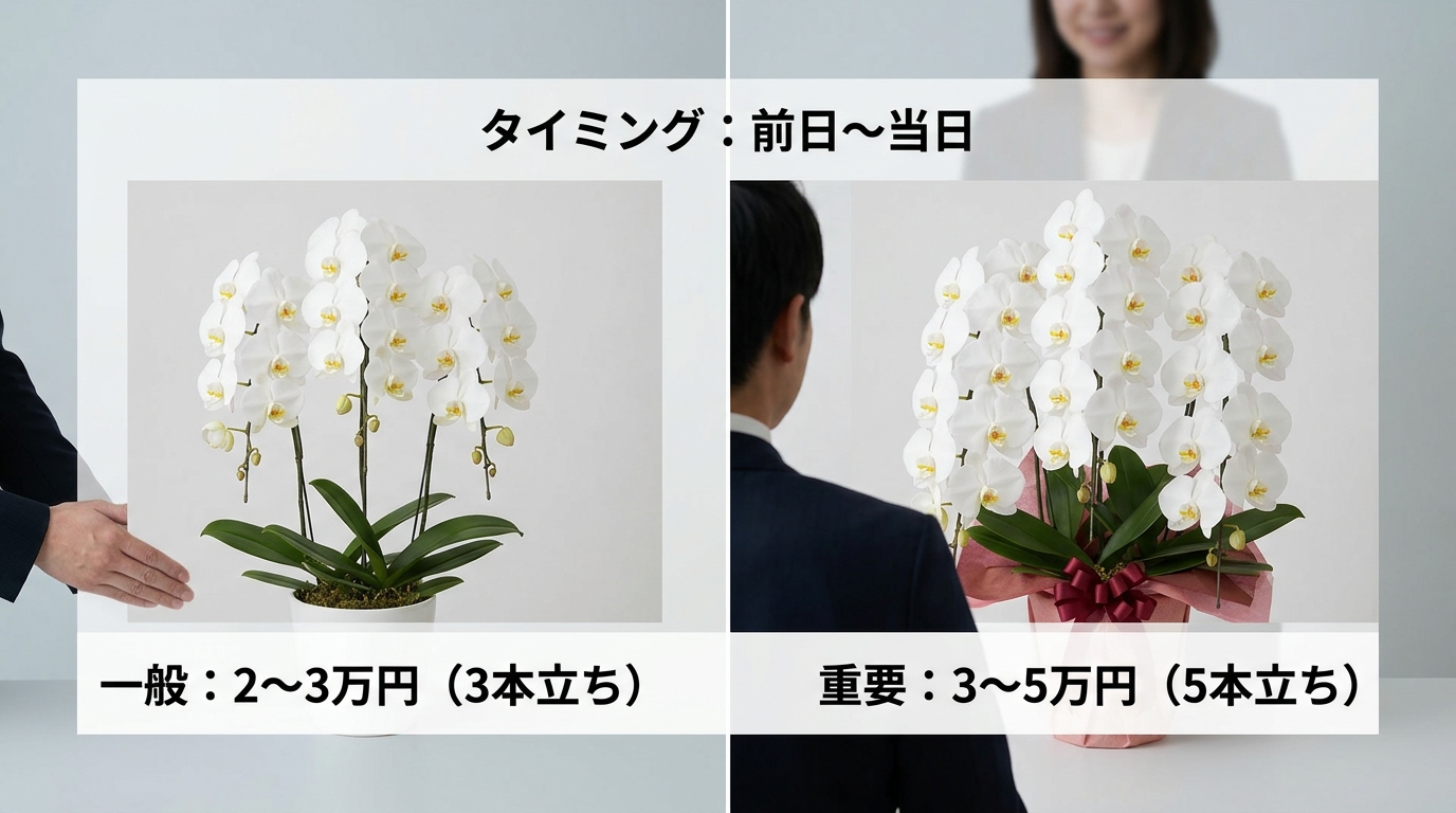 移転祝いの胡蝶蘭の相場や贈るタイミングの正解とは？