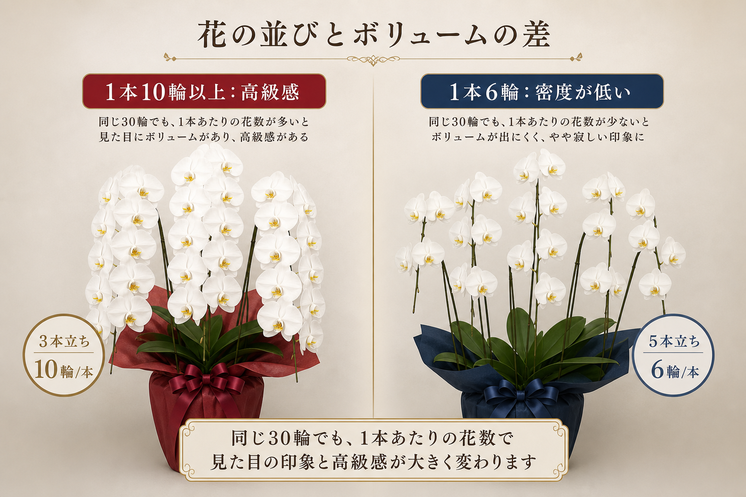 なぜ総輪数だけでなく「1本あたりの花数」が重要なのか？