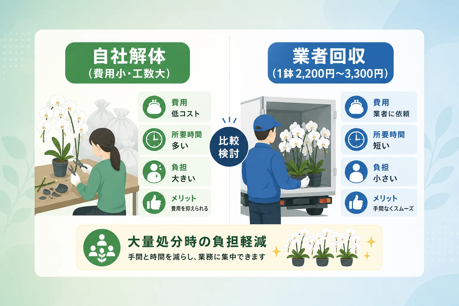 胡蝶蘭の自社処分と回収業者依頼にかかる費用や手間を比較したインフォグラフィック表