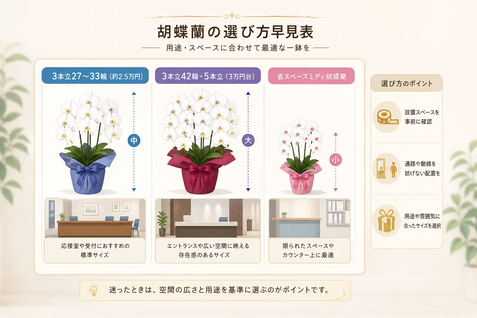胡蝶蘭の立数・輪数ごとのサイズ感と価格目安をグラフと花鉢の図で表したデータチャート