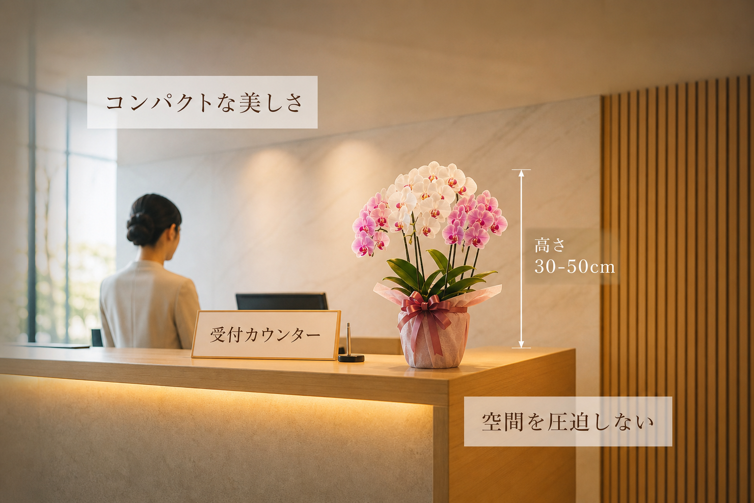 開店や移転祝いでミディ胡蝶蘭を選ぶべき設置場所の基準は何か？