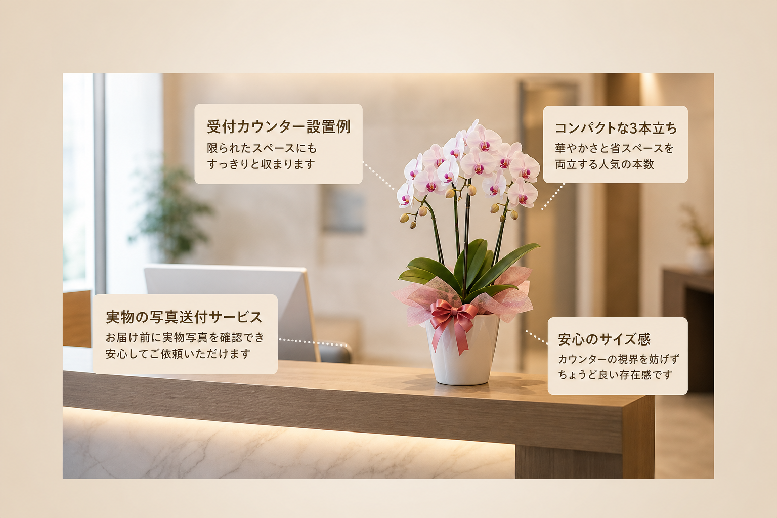 設置スペースが限られる受付には何輪のミディ胡蝶蘭が適しているか？