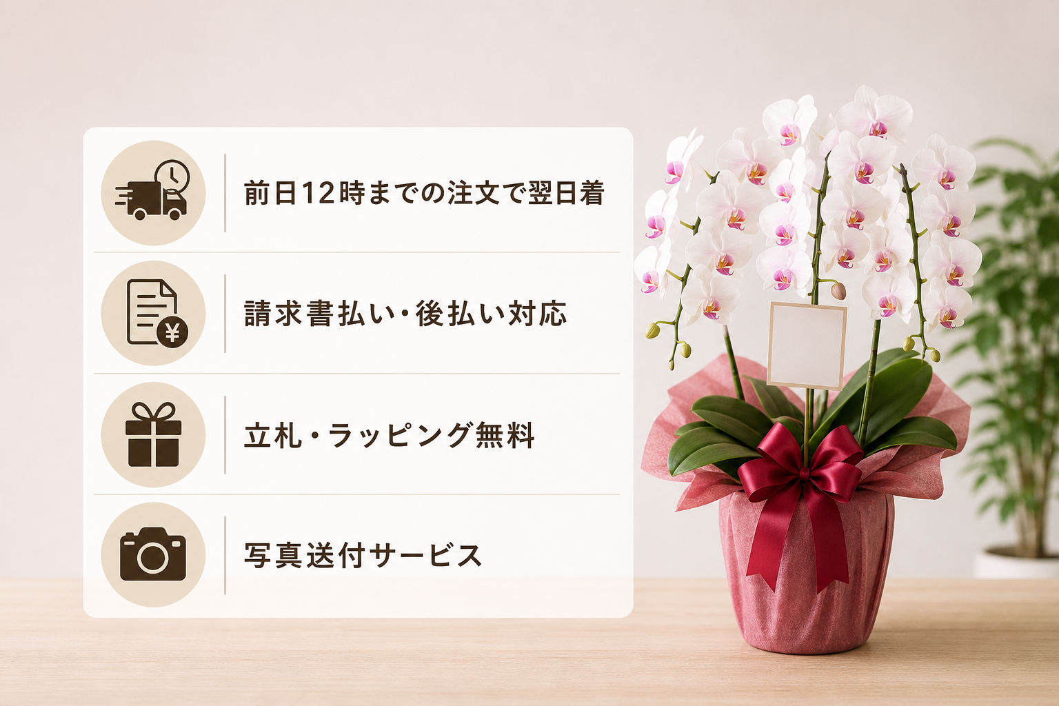 失敗しないミディ胡蝶蘭の輪数選びと法人向け手配のポイントは？