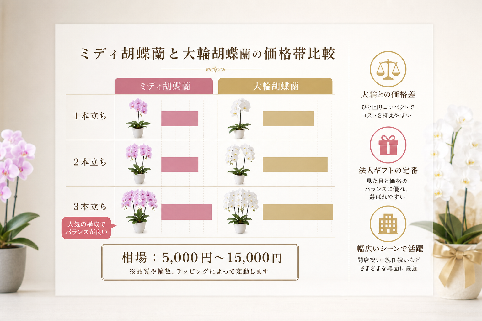 ミディ胡蝶蘭の価格相場はいくらか？贈答シーン別の本数や輪数の目安を解説