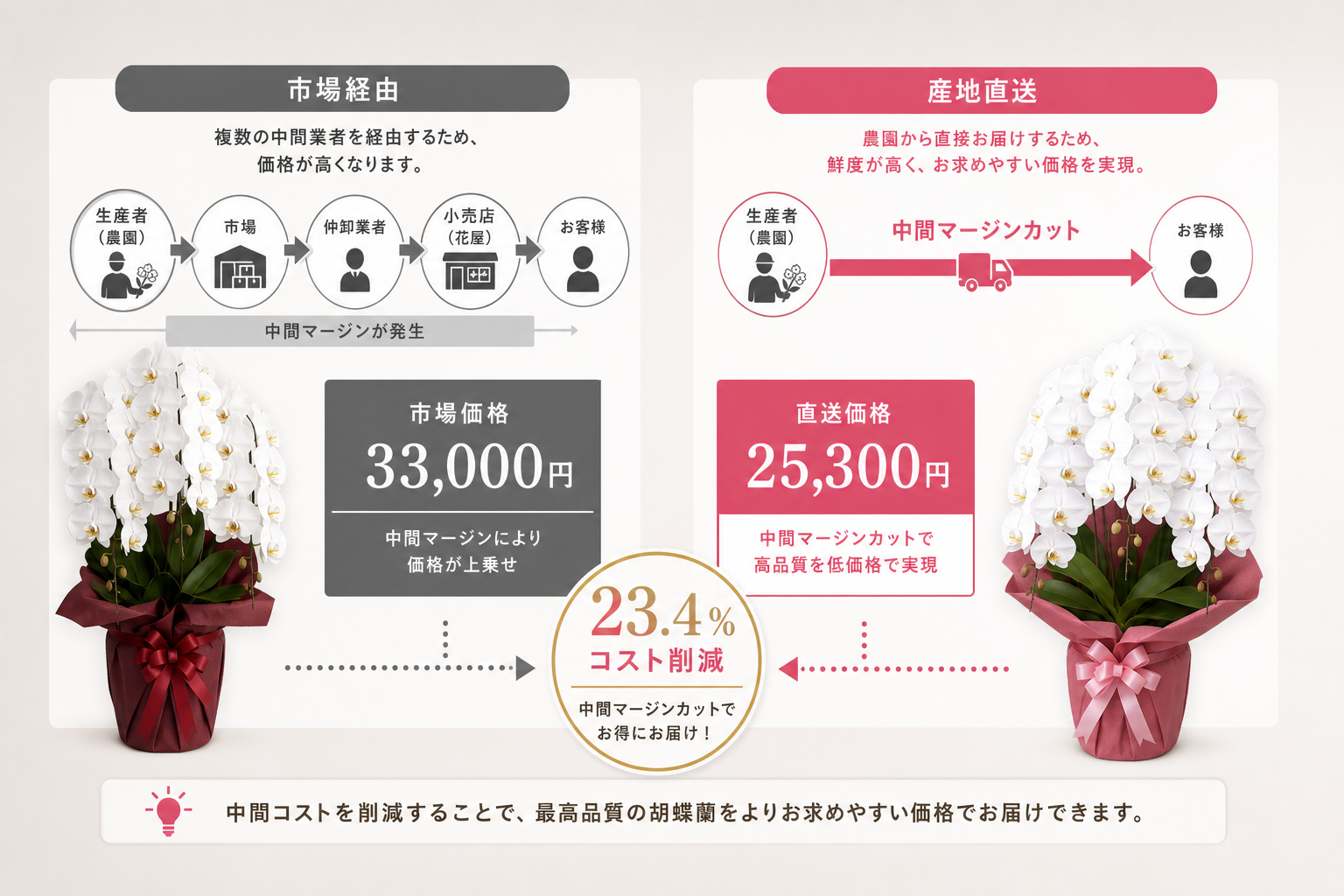 なぜ農林水産大臣賞受賞の農園直送は鮮度と低価格を両立できるのか？
