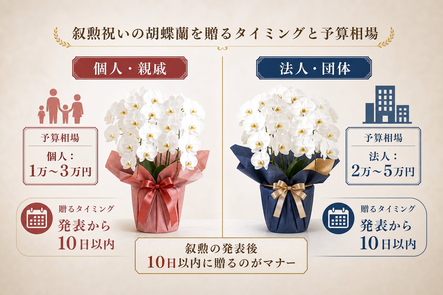 叙勲祝いで胡蝶蘭を贈るタイミングと予算相場はいくらか？