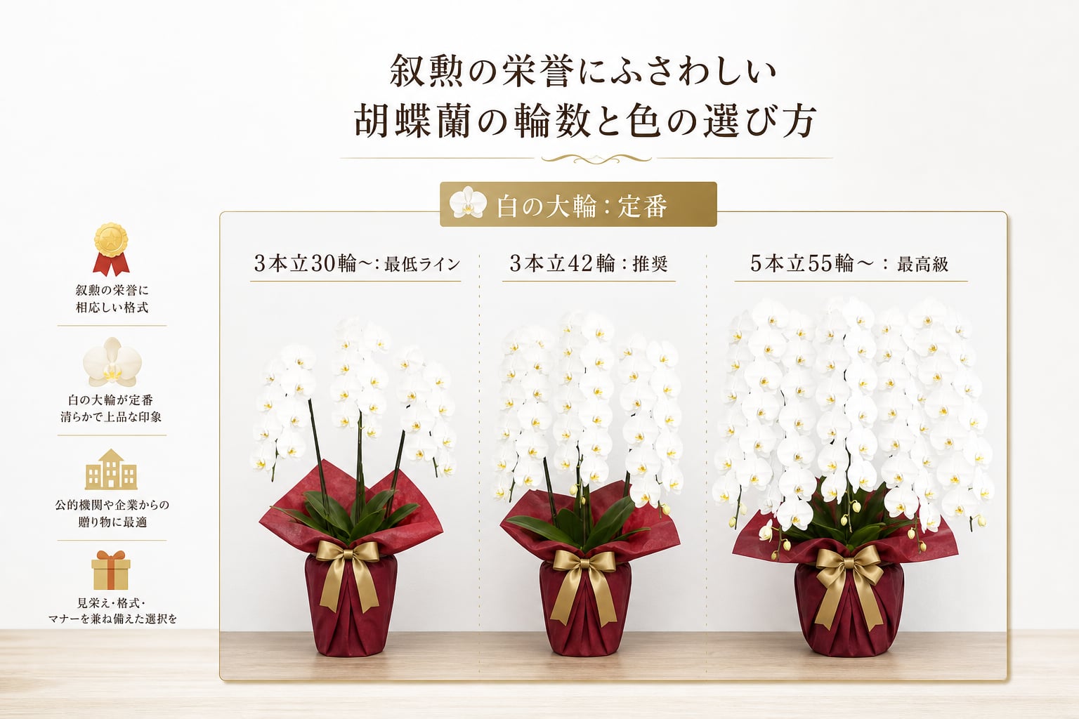 叙勲の栄誉にふさわしい胡蝶蘭の輪数や色はどう選ぶべきか？