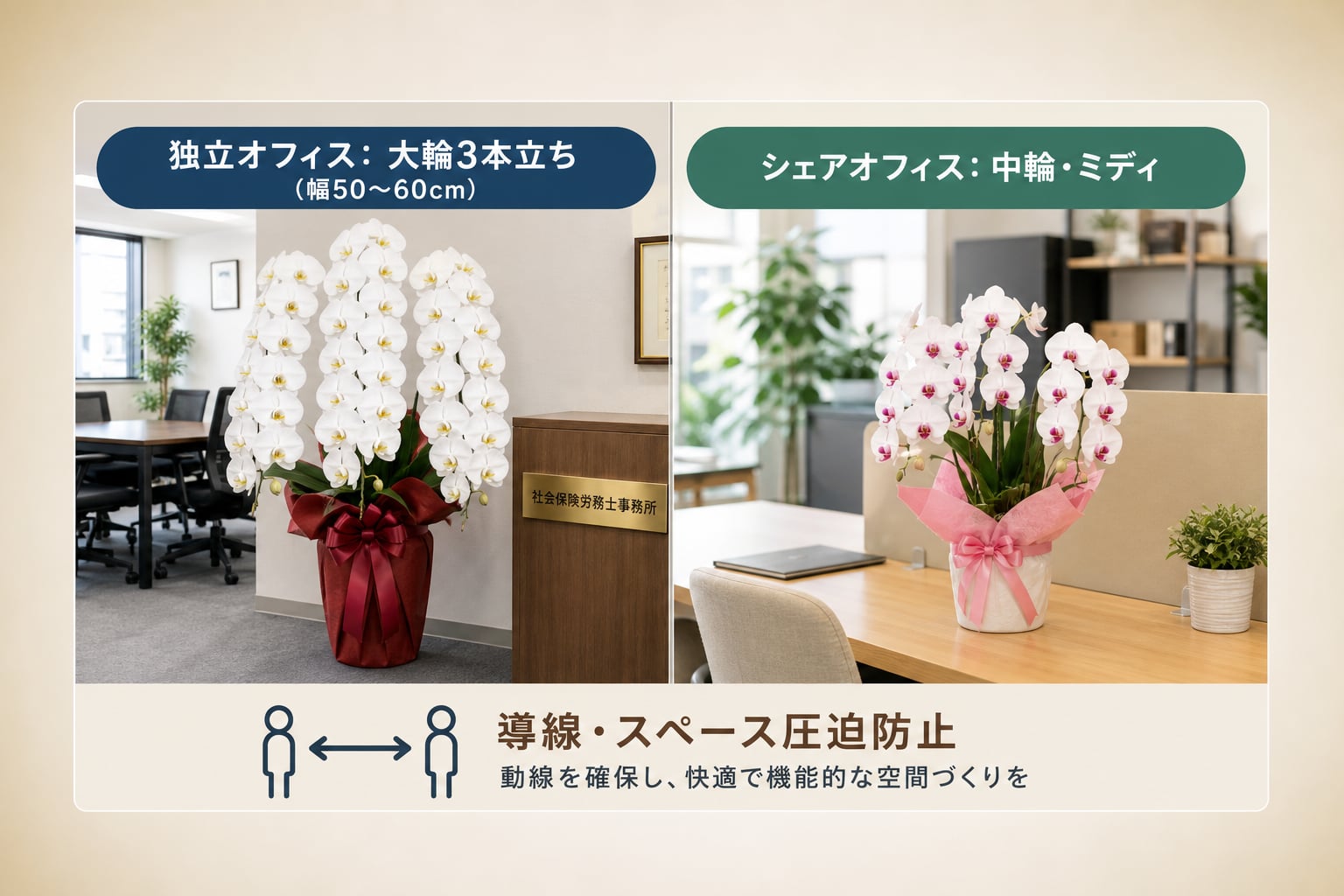 事務所の広さに適した開業祝いの胡蝶蘭はどう選ぶべきか？