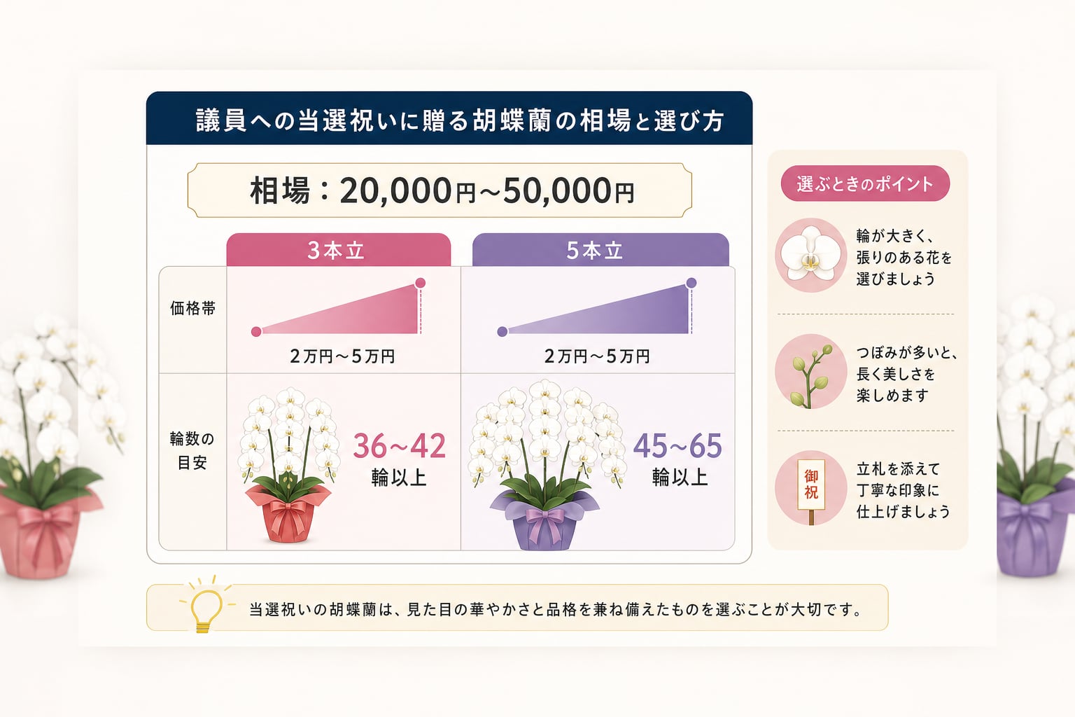 議員への当選祝いに贈る胡蝶蘭の相場や選ぶ基準はいくらか？