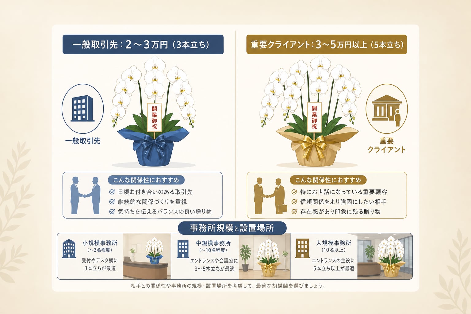弁護士事務所の開業祝い胡蝶蘭は相場やサイズでどう比較できるか？