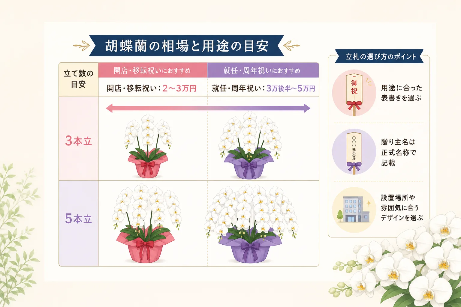 お祝いの用途別における胡蝶蘭の相場金額と茎の本数の目安を示した棒グラフチャート