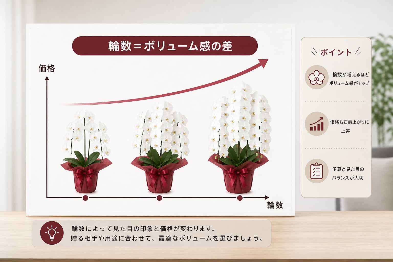 開店祝いの胡蝶蘭3本立の相場は？輪数による価格差と予算の目安を解説