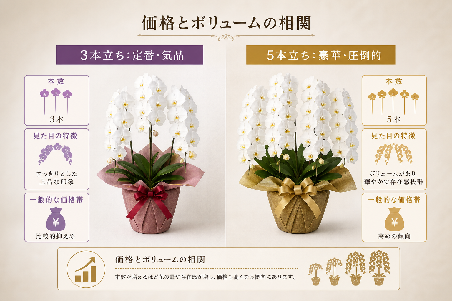 胡蝶蘭の3本立ちと5本立ちで「見栄え」と「予算」はどう変わるのか？