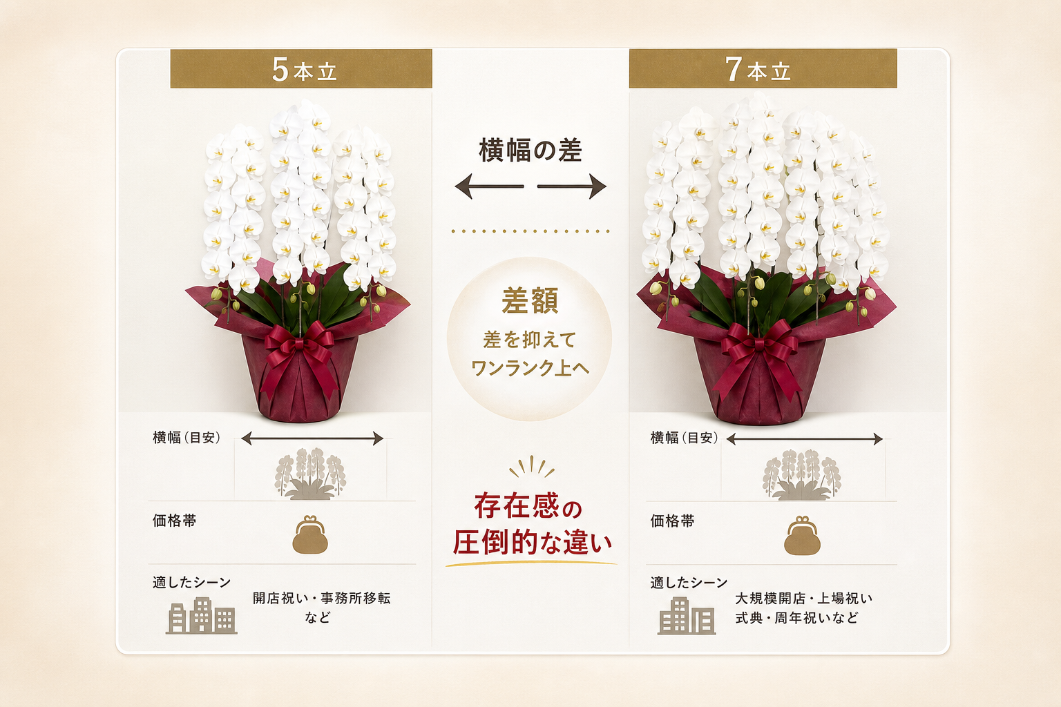 胡蝶蘭7本立と5本立を比較してどちらを選ぶべきか？