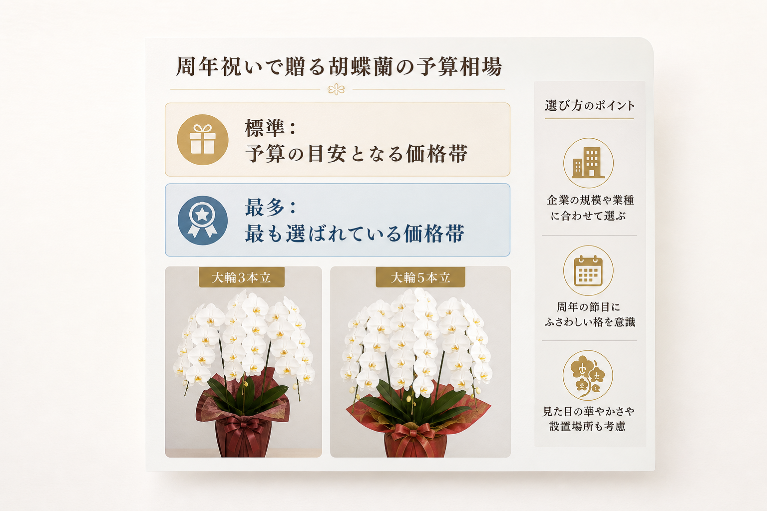 周年祝いで贈る胡蝶蘭の予算相場はいくらか？