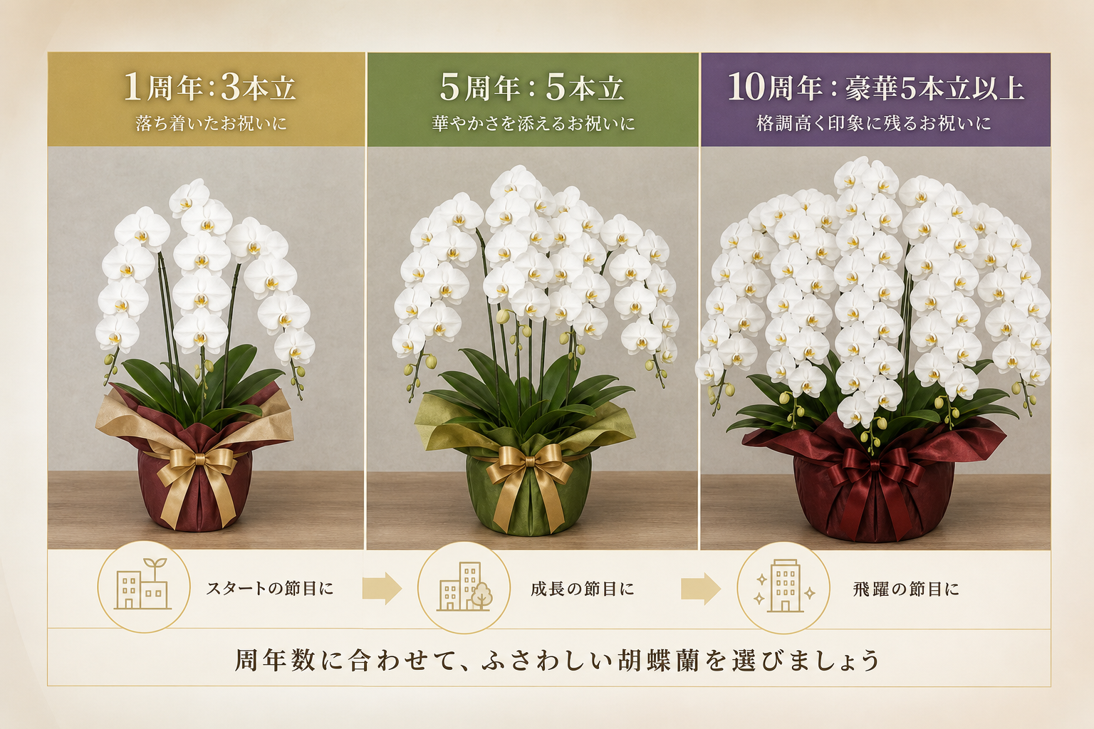 1周年・5周年・10周年の節目ごとに選ぶべき胡蝶蘭の基準とは？