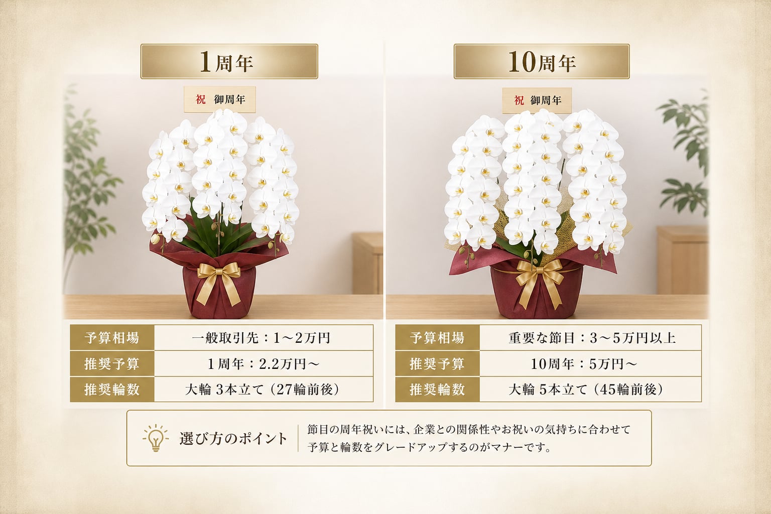 1周年や10周年の予算相場は？節目に応じた胡蝶蘭の選び方