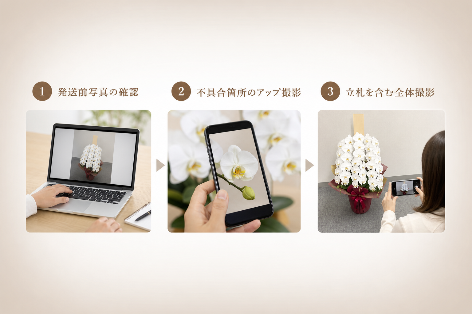 万が一のトラブル時に開花保証を確実に受けるための準備とは何か？