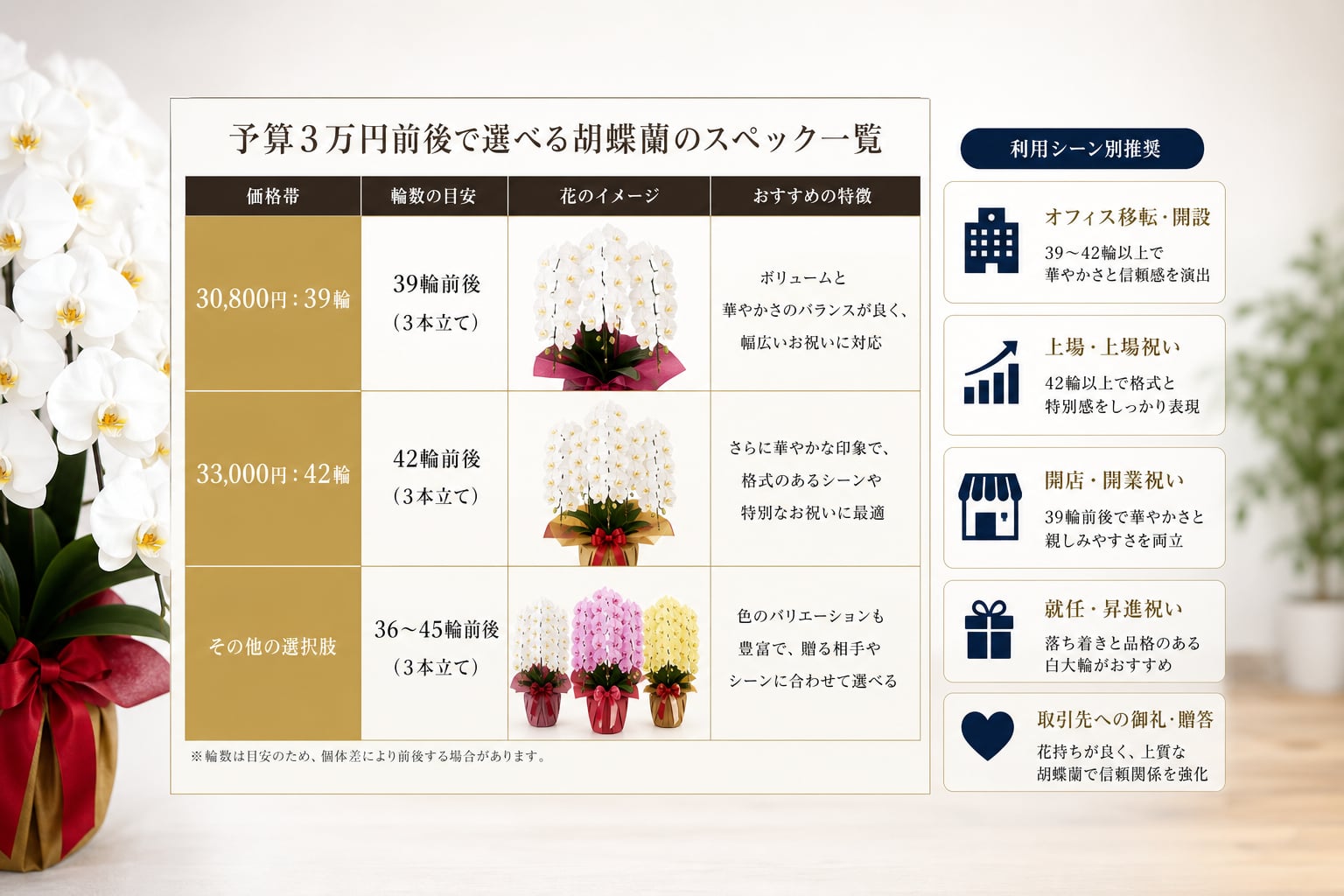 予算3万円前後で選べる胡蝶蘭のスペック一覧と利用シーン別の判断基準は何か？