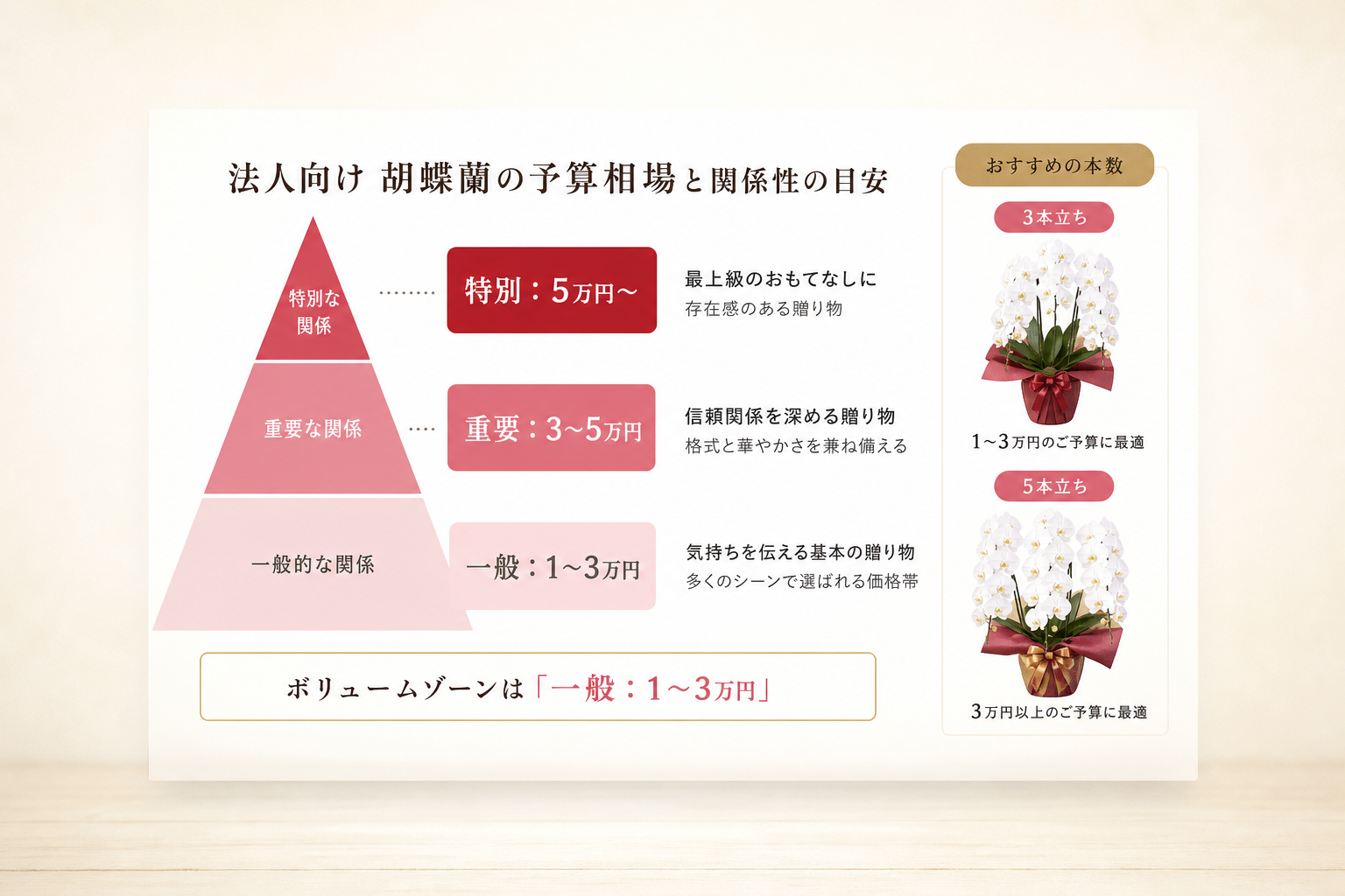 法人向け胡蝶蘭の一般的な予算相場はいくらか？