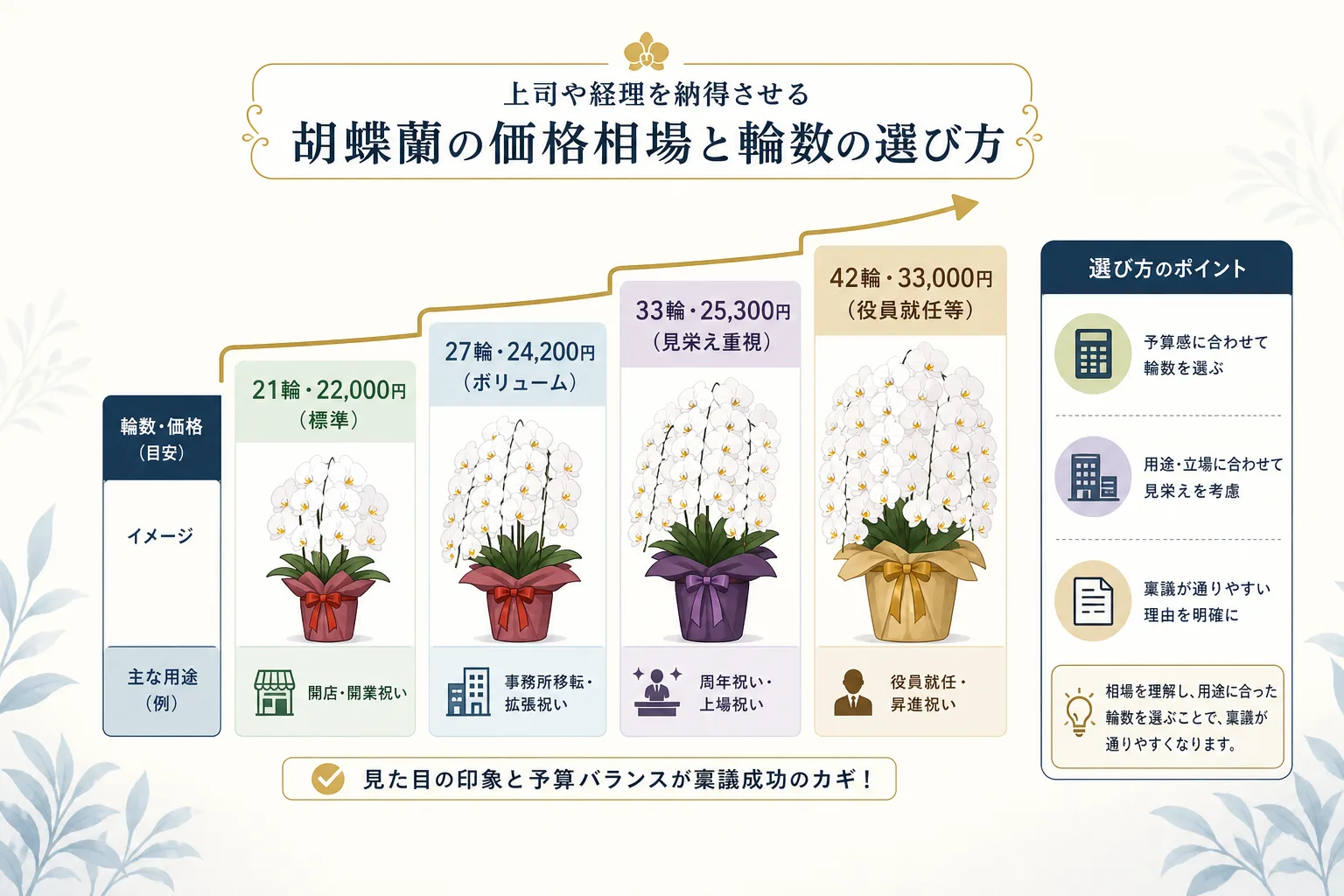 大輪胡蝶蘭の輪数と価格帯および推奨される贈答シーンを示したデータチャート