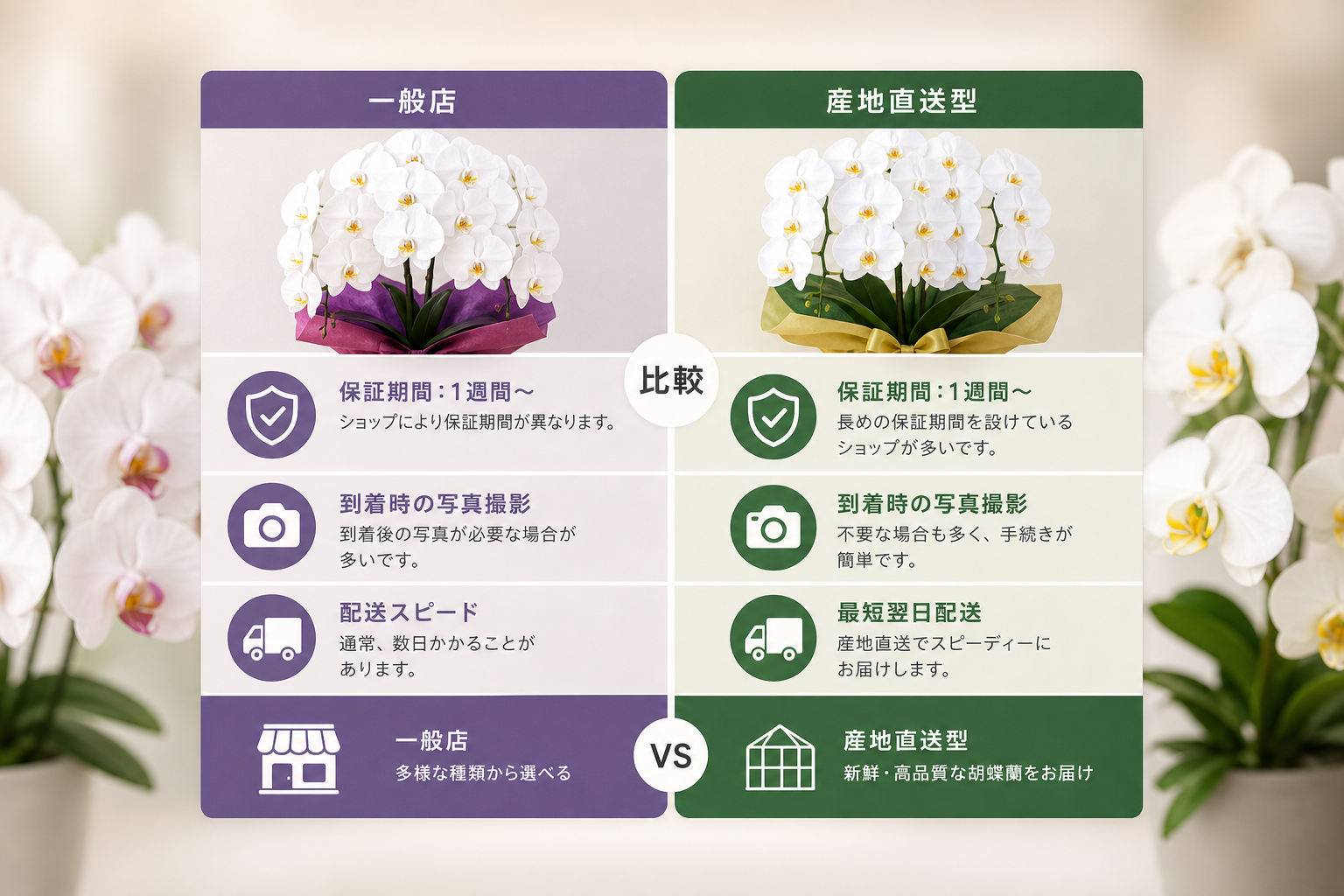 主要な胡蝶蘭通販サイトの開花保証期間や適用条件はどう違うのか？ [比較]
