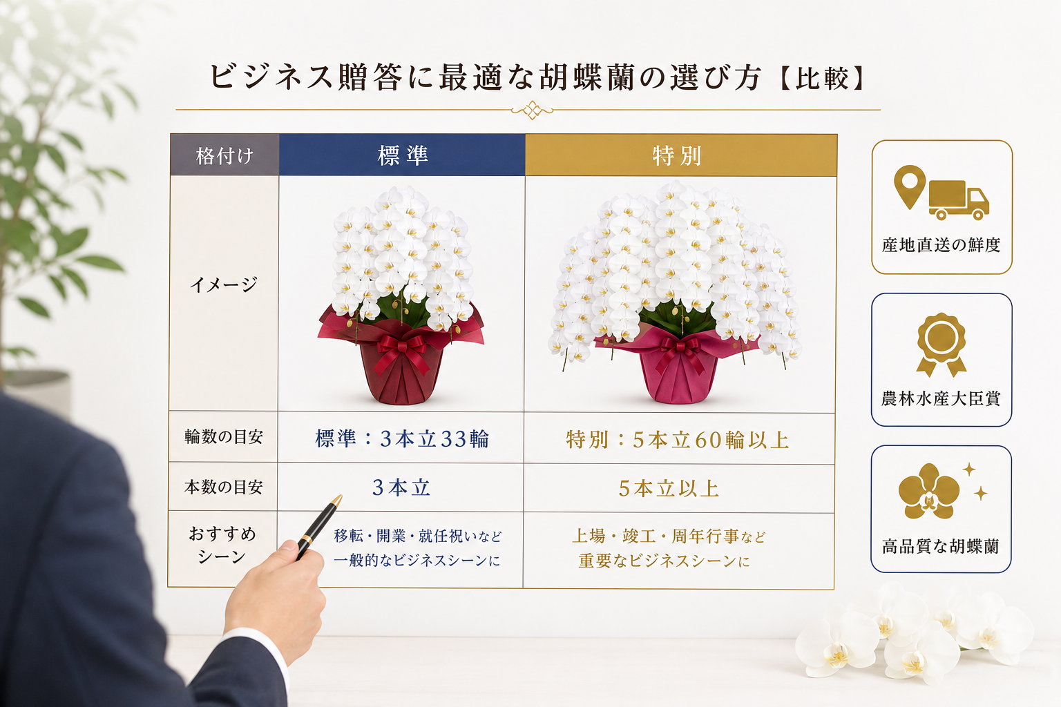 失敗できないビジネス贈答で高品質な胡蝶蘭を選ぶための基準とは何か？ [比較]