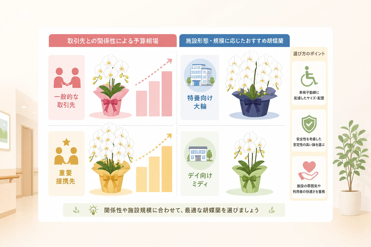 介護施設の形態別・取引関係別の胡蝶蘭相場と推奨サイズをまとめた分かりやすいチャート図