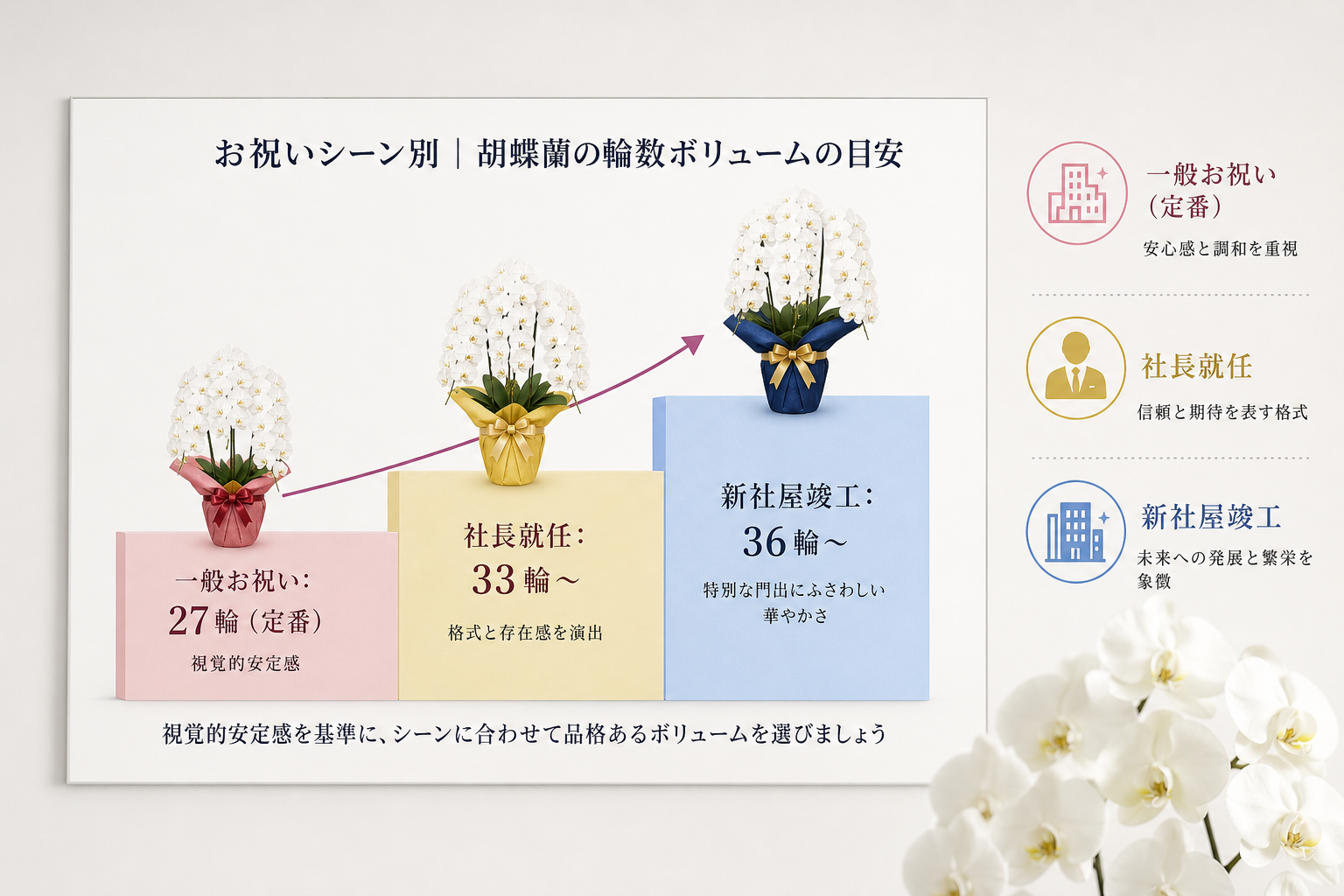 3本立ち27輪の胡蝶蘭は失礼にあたらない？ビジネスでの品格とマナー