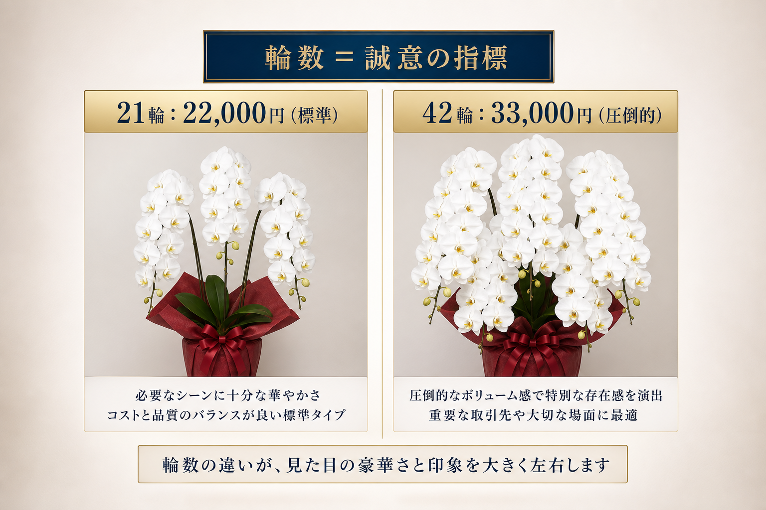 輪数で比較する胡蝶蘭3本立ちの価格差と品質の違いとは？