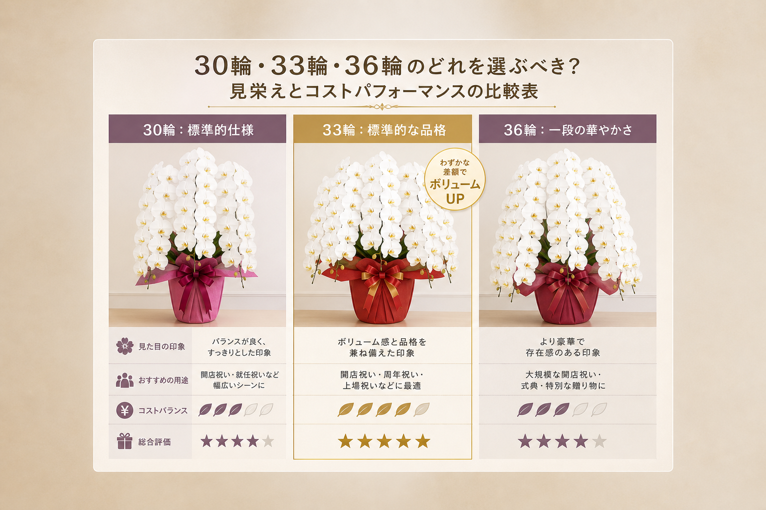 30輪・33輪・36輪のどれを選ぶべき？見栄えとコストパフォーマンスの比較表