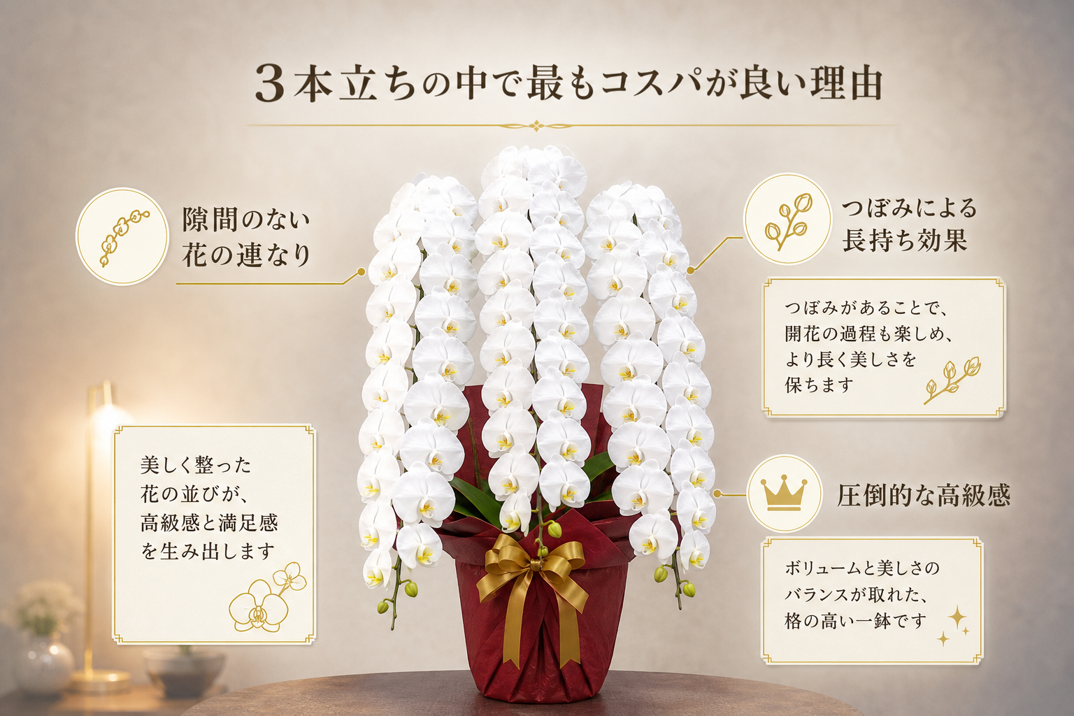なぜ36輪は3本立ちの中で最もコスパが良いのか？
