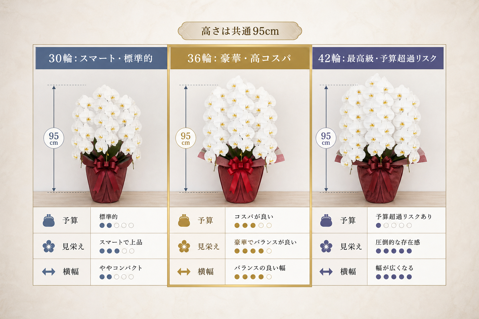 30輪や42輪と比較して36輪の見栄えはどう違うのか？