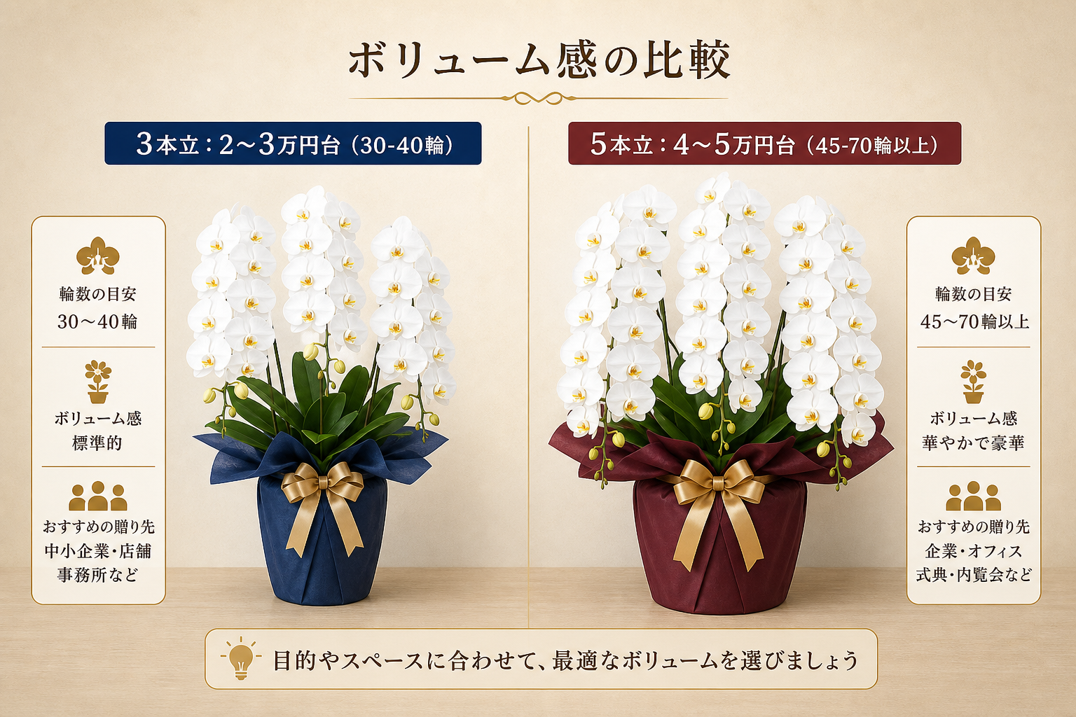 移転祝いで贈る胡蝶蘭5本立と3本立の価格相場はどう違うのか？