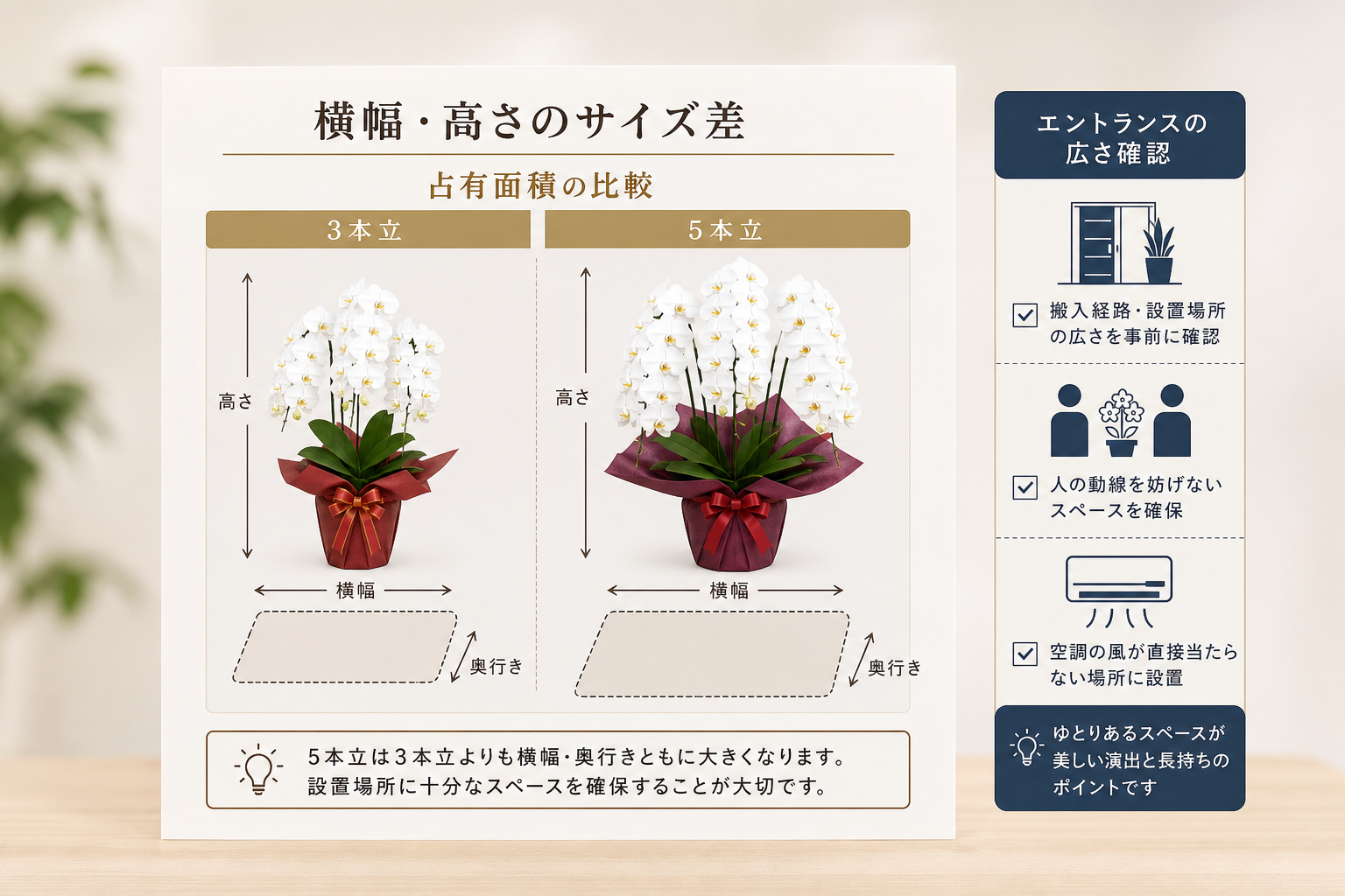 5本立の胡蝶蘭を贈る際に配慮すべき設置スペースやサイズの注意点は何か？