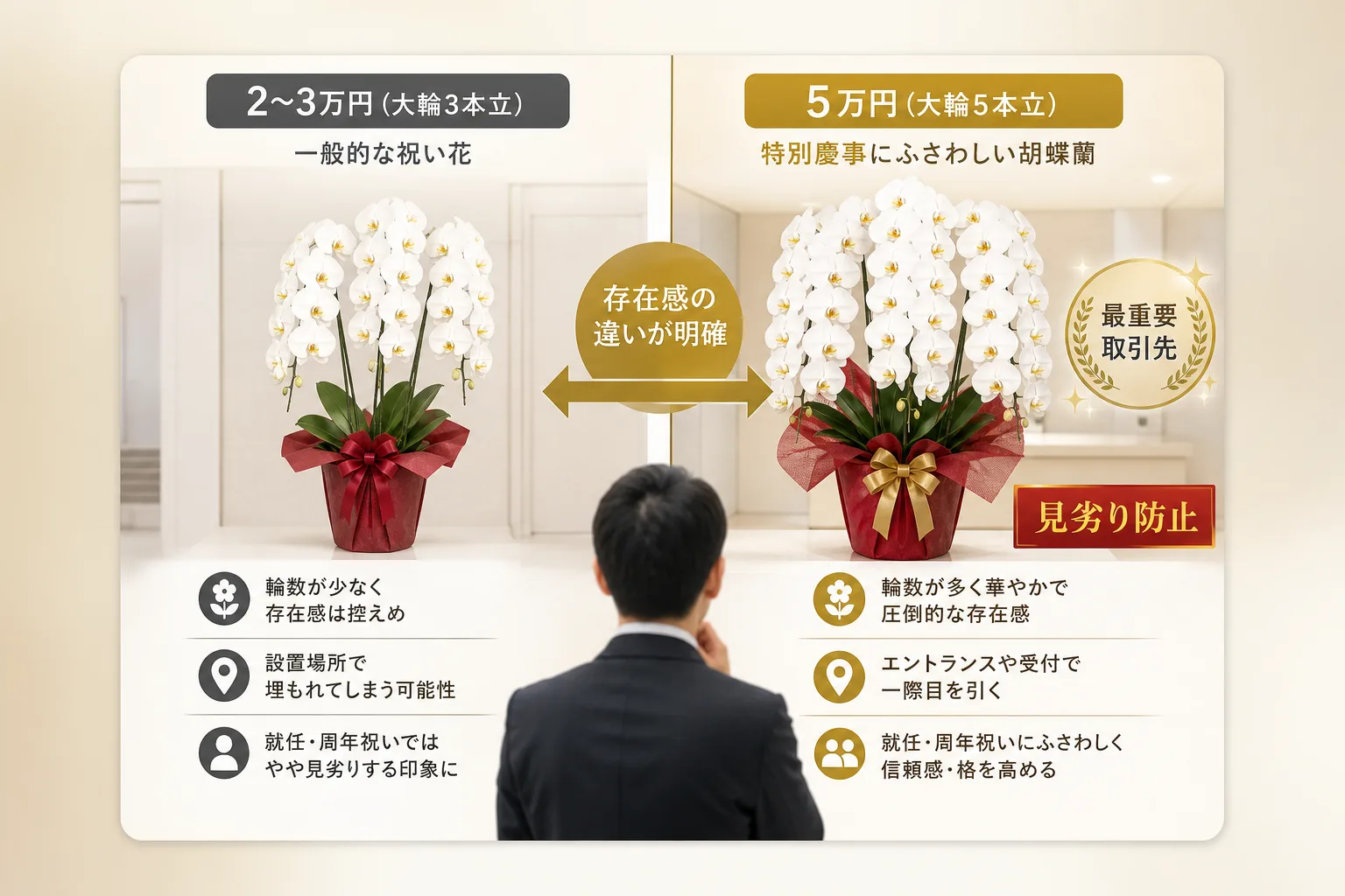 2〜3万円の3本立ちと5万円の5本立ち胡蝶蘭のサイズ感や用途の違いをまとめた比較図
