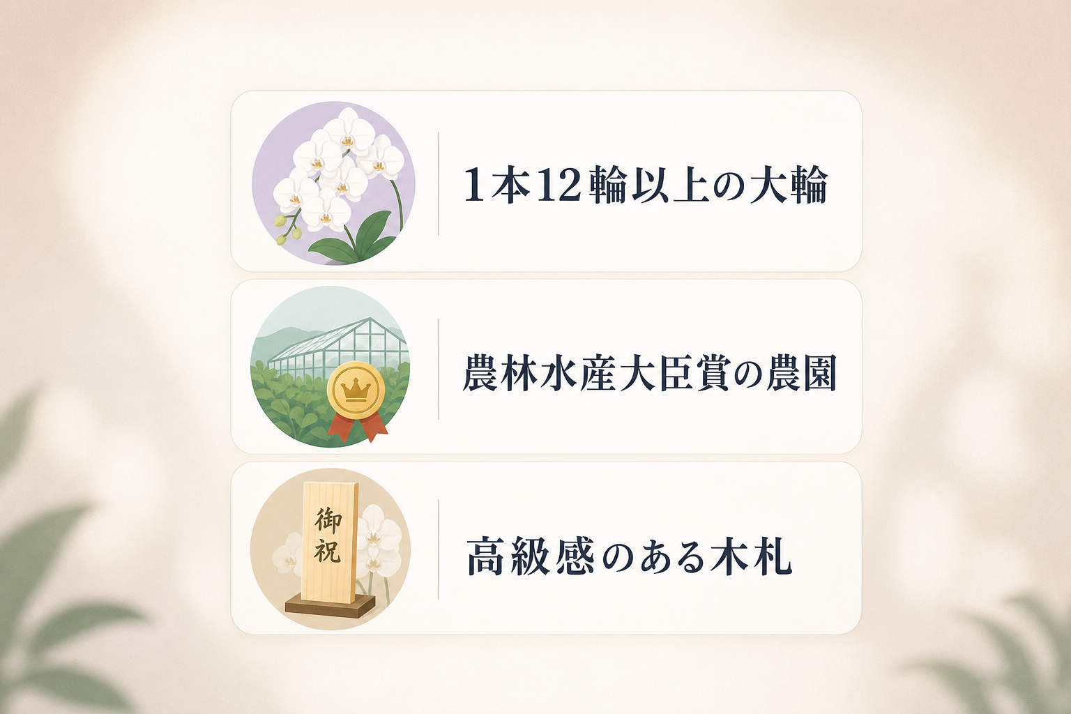 失敗しない胡蝶蘭の選定基準とは？輪数や木札が与える印象の違い