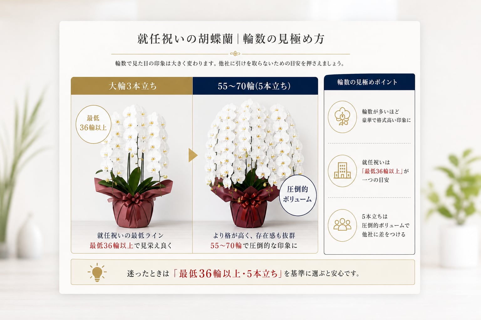 他社に引けを取らない就任祝いの胡蝶蘭の「輪数」の見極め方は？