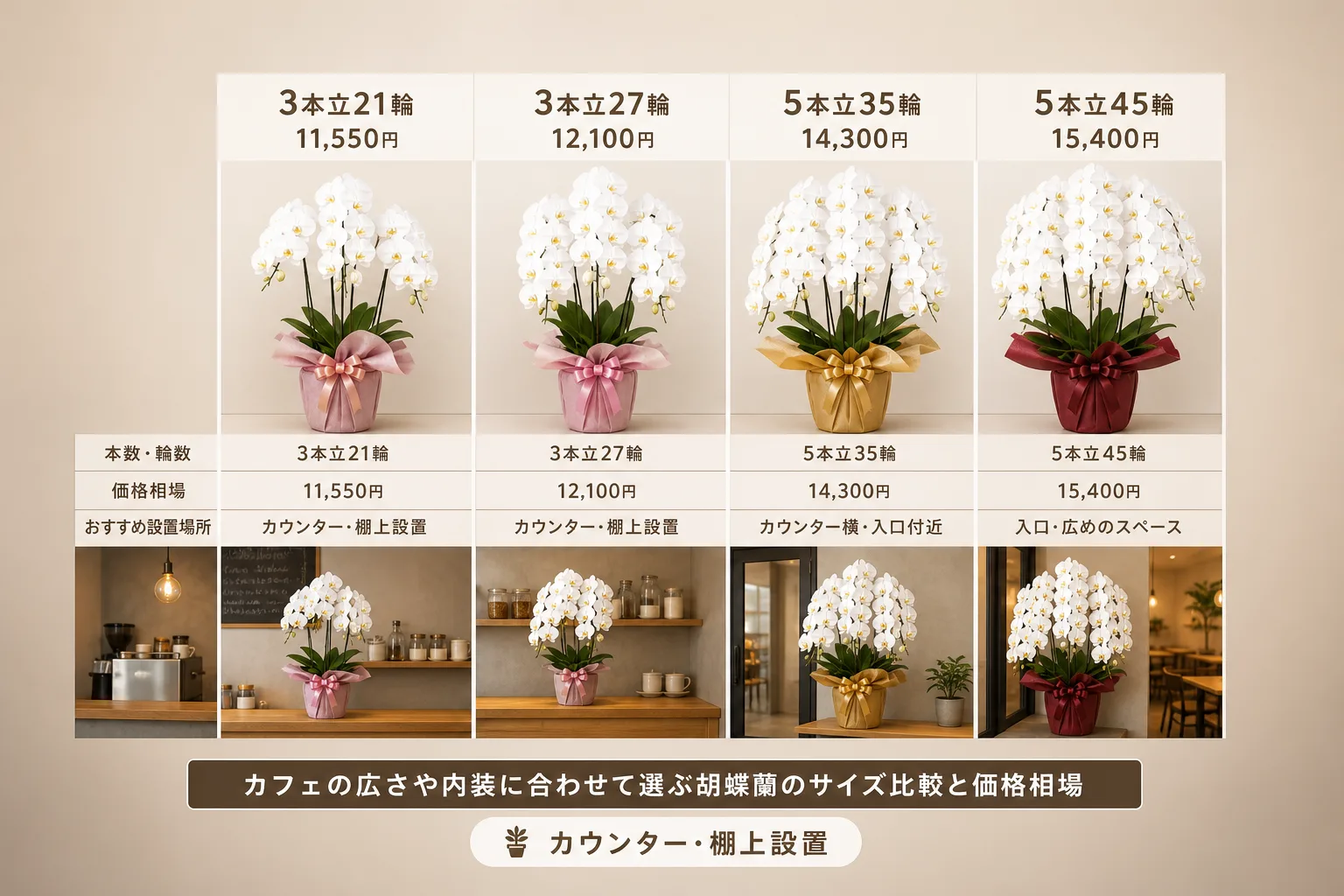 ミディ胡蝶蘭の本数・輪数ごとの価格相場と適した設置場所をまとめた比較表