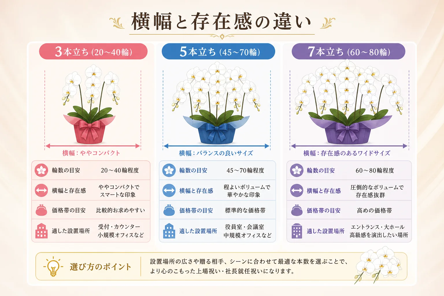 胡蝶蘭の3本立ち、5本立ち、7本立ちの輪数・横幅・価格相場を並べて比較したインフォグラフィック表