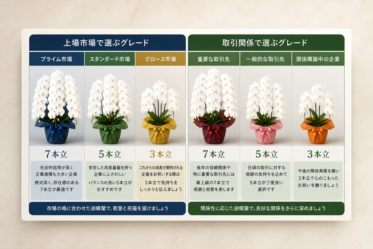 上場市場区分と取引関係ごとに適した胡蝶蘭の本数や輪数を整理した比較表