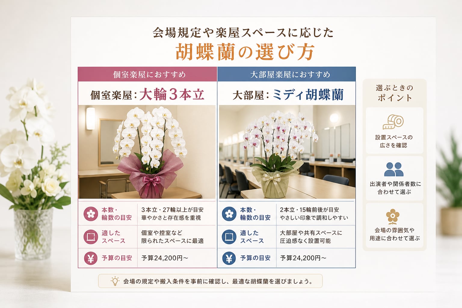 会場規定や楽屋スペースに応じた胡蝶蘭の選び方とは？